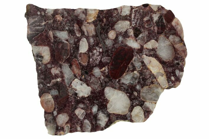 Polished Pudding Stone (Conglomerate) Slab - Michigan #336994